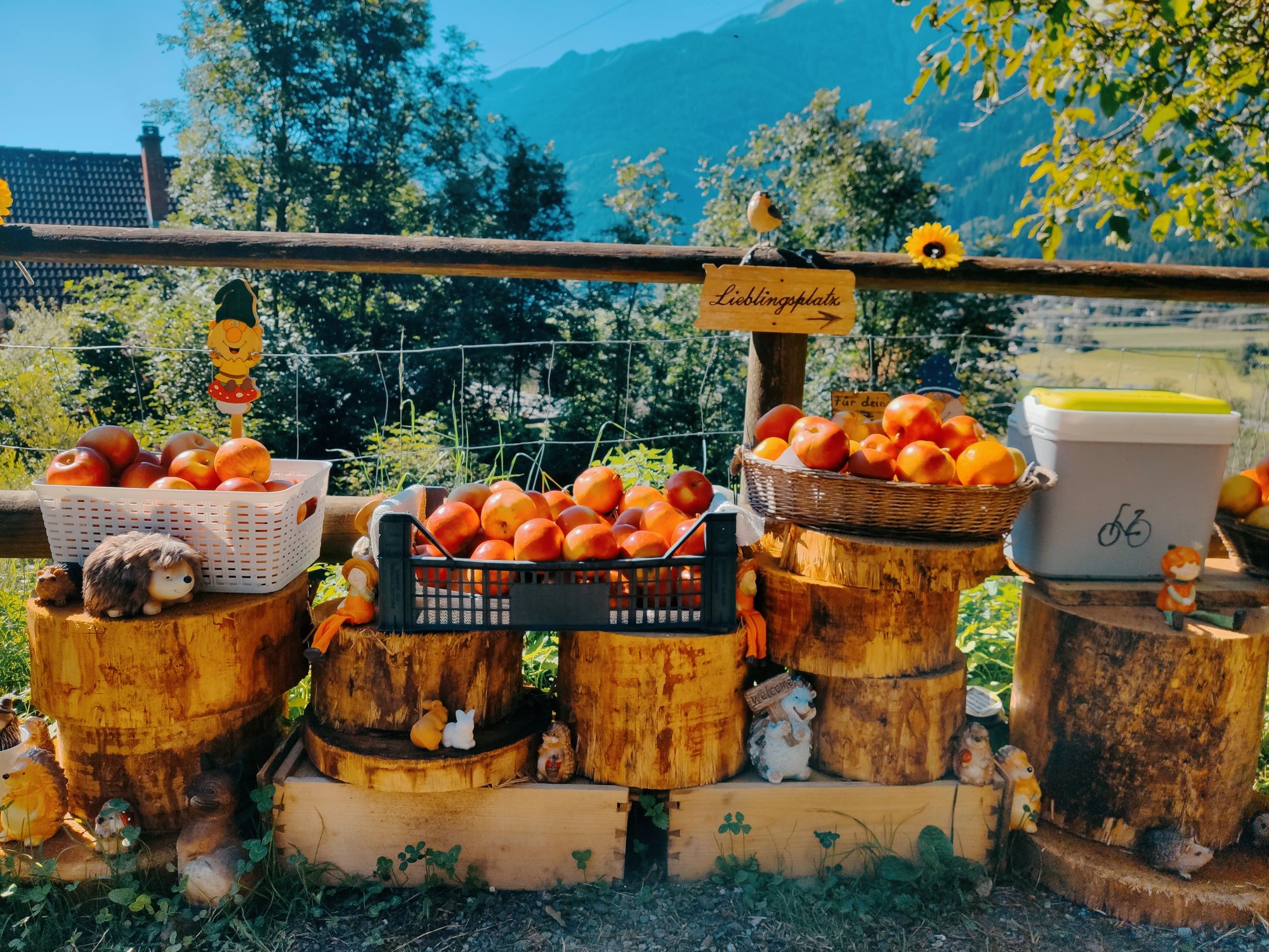 Owoce przygotowane dla rowerzystów podróżujących Alpe Adria przez lokalną społeczność
