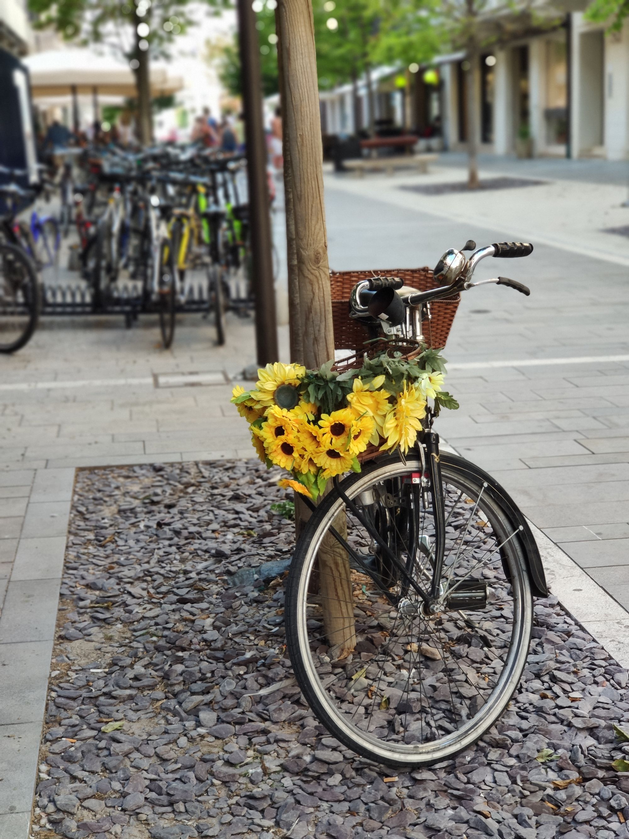 Piękno roweru na uliczce w Grado