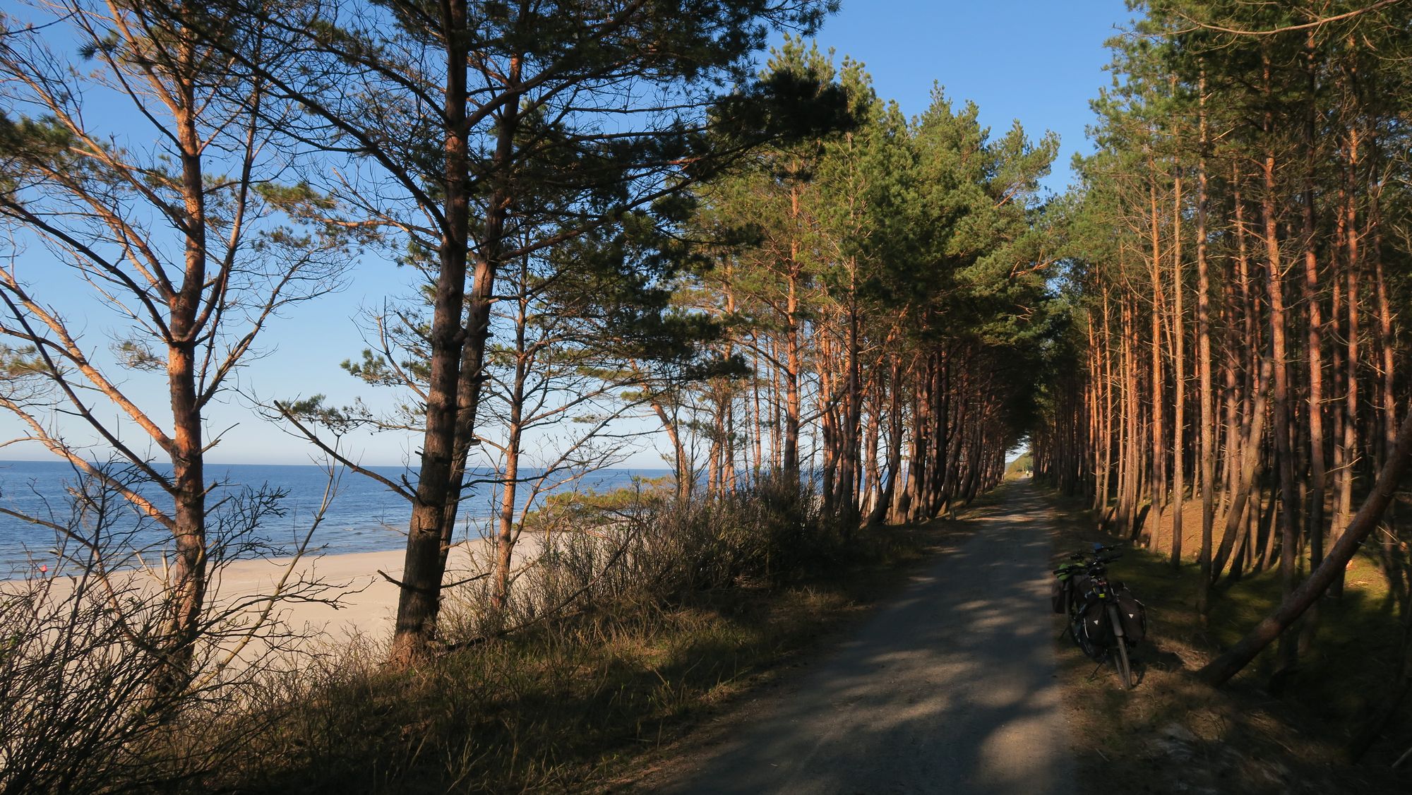 Trasa rowerowa Mierzei Wiślanej - R10 z widokiem na Bałtyk