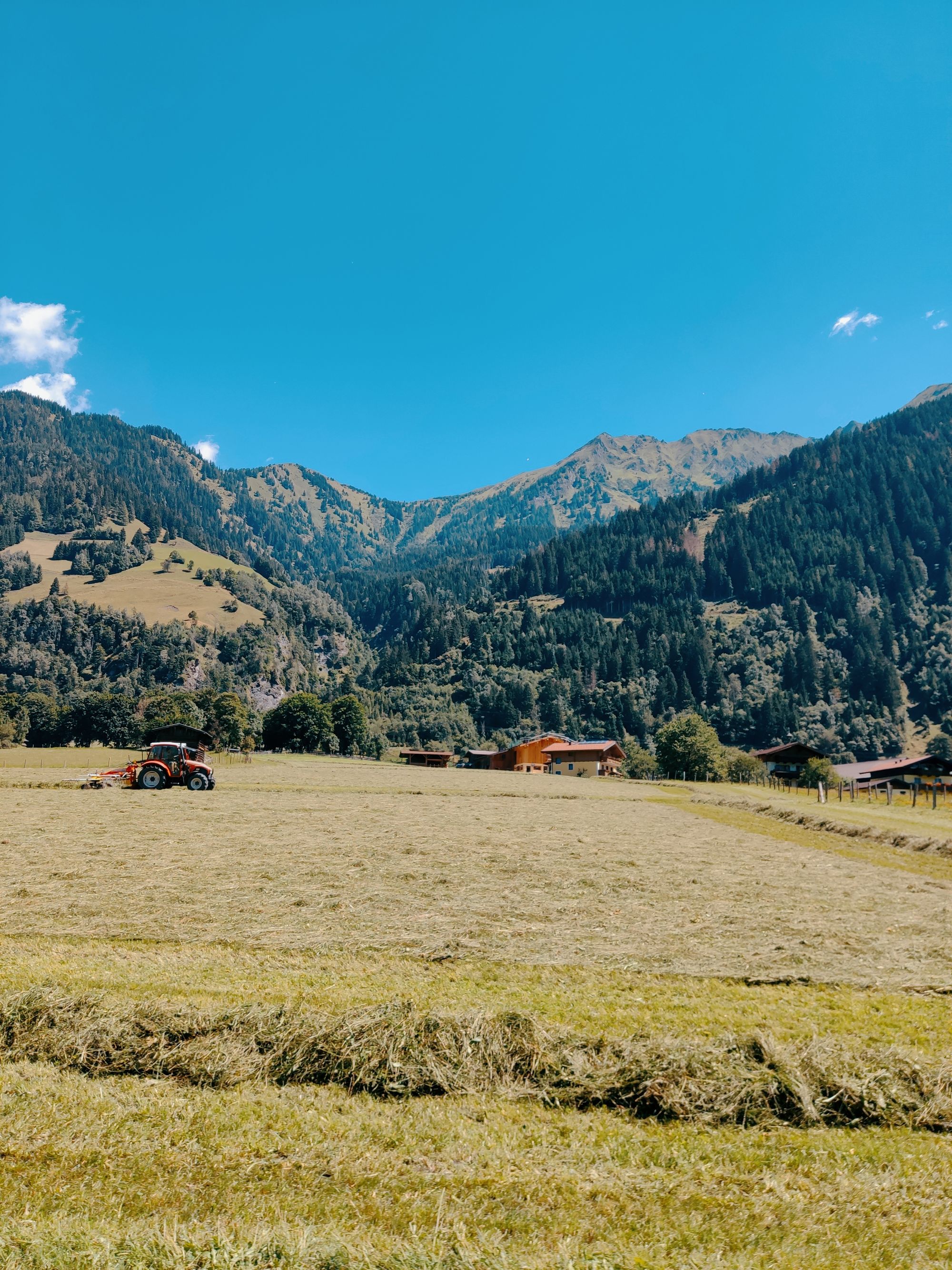 Pola, pastwiska, góry - sielanka austriackiej wsi